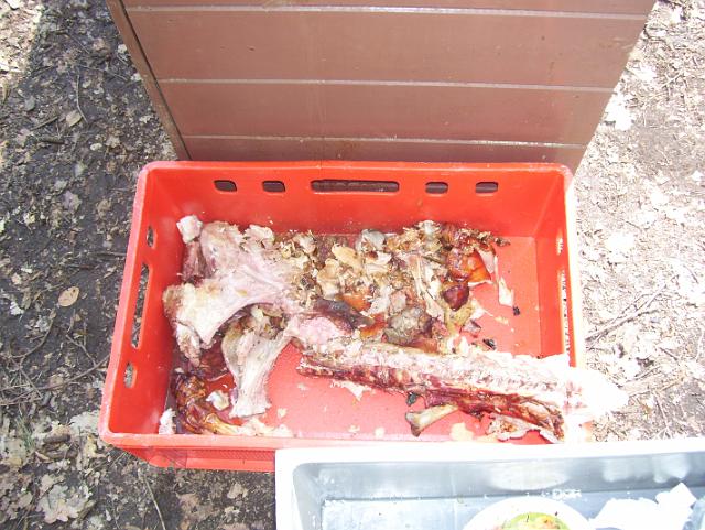 Steinkuhle 2008 (63).JPG